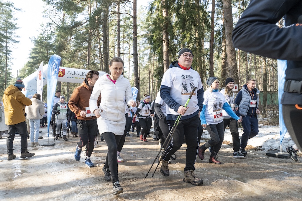 0241bieg_2026 0241bieg_2026